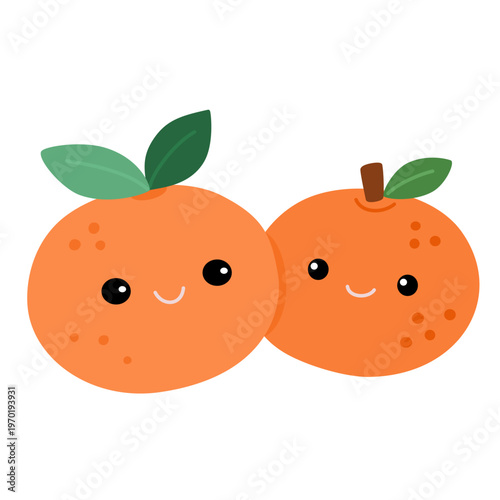 Fresh couple oranges