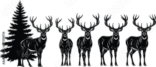 Black and white illustration of five majestic stags with large antlers standing beside tall evergreen pine tree, wildlife forest nature harmony artwork drawing