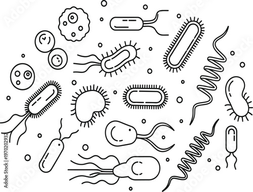 Diverse bacteria germs a visual guide to microbial shapes and structures for science education