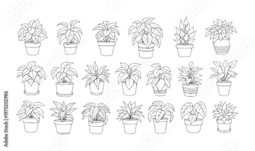 Collection of potted houseplant line in various styles outline green