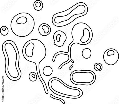 Bacteria germs a detailed illustration of various microbial shapes and structures