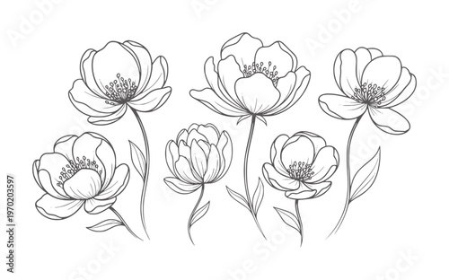 Delicate line floral arrangement with six blooming flowers botanical nature