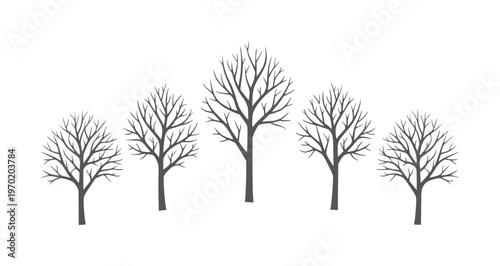 Five bare trees in a row against a white winter branches dark