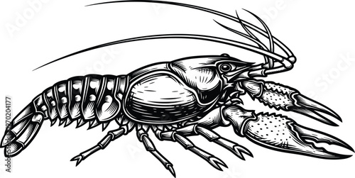 Crayfish lobster silhouette detailed engraving style, freshwater crustacean illustration, seafood animal icon, vintage line art, aquatic wildlife design