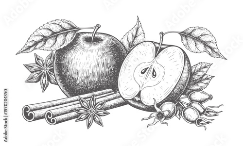 Hand drawn apple half whole cinnamon sticks star anise rose hips and leaves fruit
