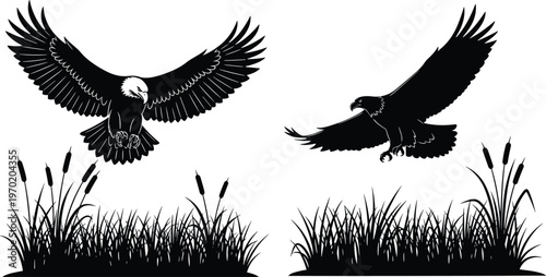 Eagle silhouettes flying and landing, majestic bird of prey illustration, wildlife nature scene, hunting predator concept, flat vector isolated design