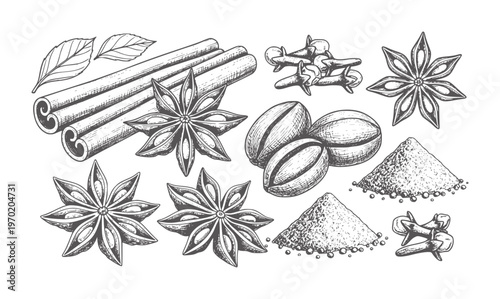Hand drawn collection of star anise cinnamon sticks cloves coffee beans and spice powder