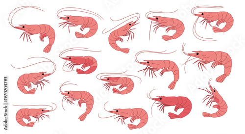 A diverse collection of fifteen stylized pinkish-red shrimp with segmented bodies and long antennae are arranged in various poses on a white background.