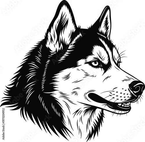husky dog head vector illustration, wolf breed portrait, animal silhouette design, detailed canine face art, pet mascot graphic, cad drawing flat vector illustration