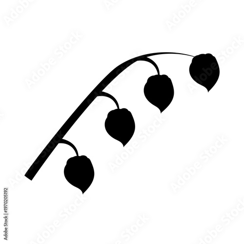 A physalis branch with four flowers in silhouette style. Vector illustration isolated on a white background.