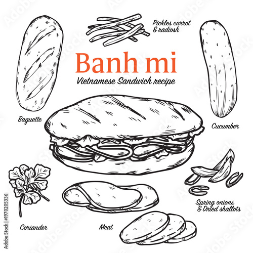 Hand drawn Vietnamese sandwich Banh mi recipe outline drawing vector illustration