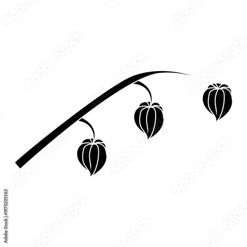 A physalis branch with three flowers in a black and white silhouette style. Vector illustration isolated on a white background.