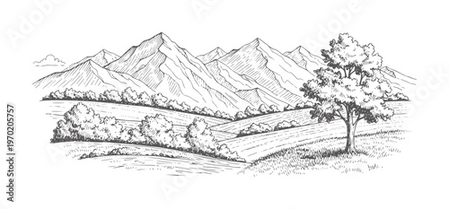 Hand drawn of rolling hills and mountains with a lone tree landscape nature