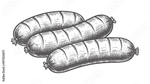 Hand drawn of three grilled sausages white food meat