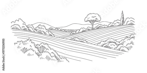 Of rolling hills with cultivated fields and trees