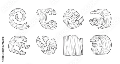 Set of eight wood shavings and wood pieces in a line style curls texture
