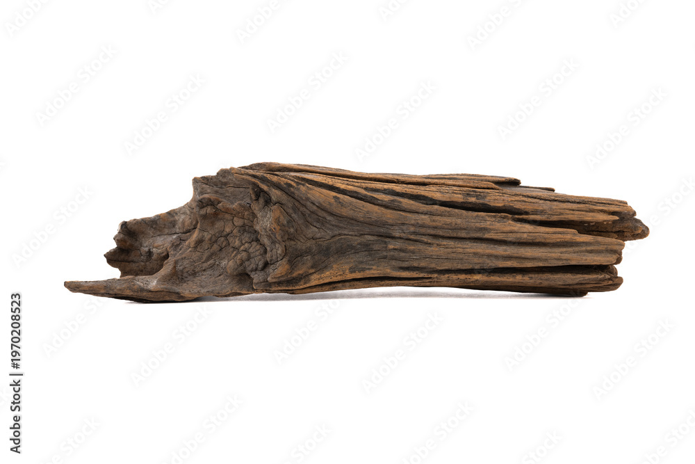 Fototapeta premium Driftwood aged wood isolated on white background. Piece of driftwood driftwood close up for aquarium.