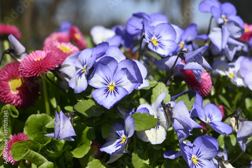 Wallpaper Mural friedhof, grabdekoration Torontodigital.ca