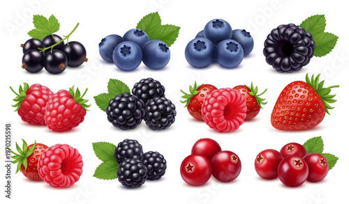 Realistic Mixed Forest Berries Set Fresh Fruit Vector Illustration