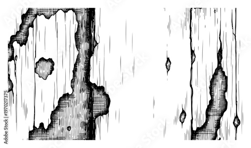 Vintage woodcut style illustration of peeling tree bark with weathered wood grain texture