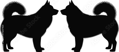 Siberian husky or Alaskan Malamute dog silhouette vector set, fluffy northern breed canine facing each other, isolated pet illustration for animal lovers, logo design.