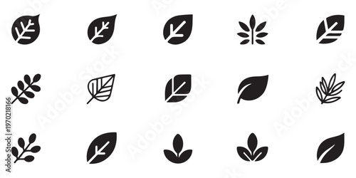Minimalist black leaf icons set representing diverse plant species and organic shapes for web design interface