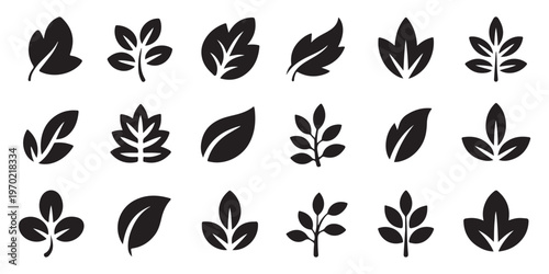 Set of black botanical leaf silhouettes featuring various organic shapes and branching patterns for art logos