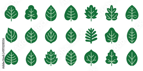 Green leaf icons set with white vein details representing various tree species for sustainable design projects