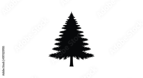 A striking isolated evergreen tree is prominently displayed against a stark white background a bold silhouette high quality