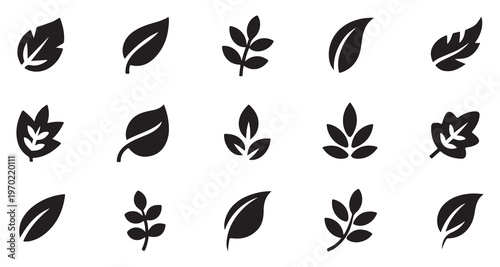 Collection of stylized leaf icons simple elegant natural shapes perfect for graphic design projects vector set