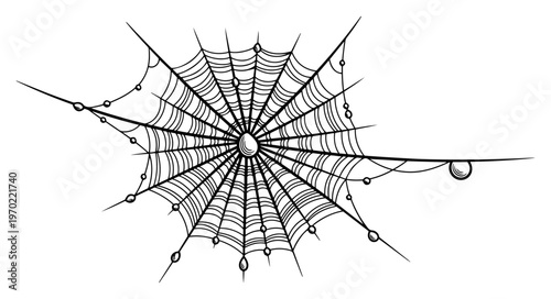 Detailed hand drawn spider web with water droplets in vintage engraving style