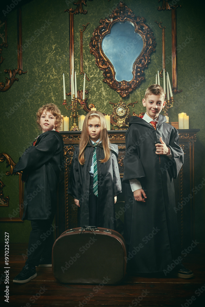 Obraz premium Wizard Team Arrival