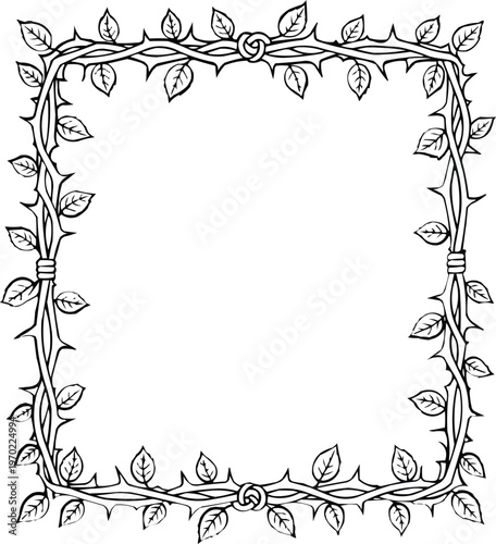 Square wreath frame with spikes.