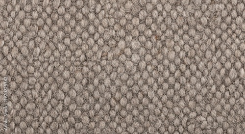 Wallpaper Mural Detailed wool surface with soft textured fabric appeal  Torontodigital.ca