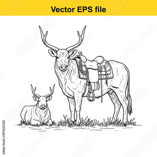 A bull and a calf standing in the grass