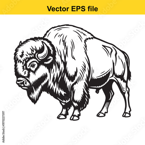A black and white drawing of a bison