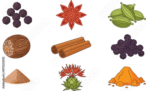 Collection of spice illustrations including peppercorns, star anise, cardamom, cinnamon and turmeric showing natural seasoning and cooking ingredient concept isolated