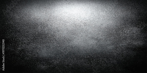 A textured grey concrete wall backdrop, dramatic shadow and light effect