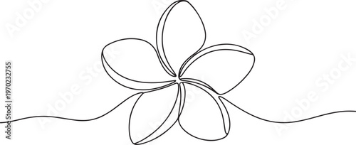 Plumeria flower continuous one line drawing. Frangipani linear blossom. One continuous line drawing of Plumeria flower. one line Icon drawing