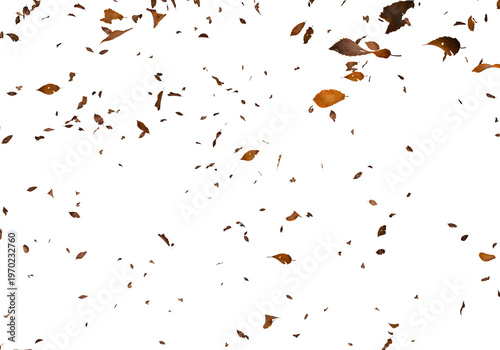 Falling autumn leaves swirl and cascade against a stark completely black background