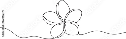 Plumeria flower continuous one line drawing. Frangipani linear blossom. One continuous line drawing of Plumeria flower. one line Icon drawing