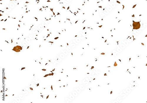 Falling autumn leaves swirl and cascade against a stark completely black background
