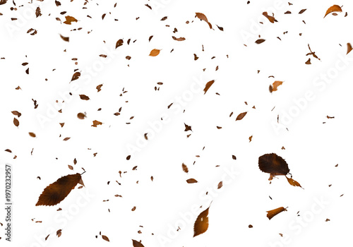 Falling autumn leaves swirl and cascade against a stark completely black background