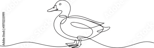 Continuous single one line art drawing, Duck single continuous one line out line vector. one line Icon drawing