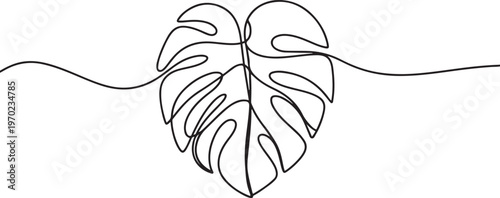 Hand-drawing one continuous line art of tropical monstera leaves. Monstera leaf. one line Icon drawing