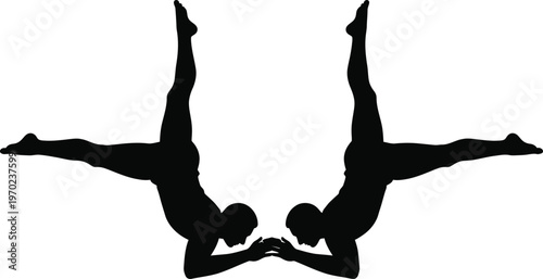 Partner Acrobatic Inversion Silhouette Symmetry and Balance Vector
