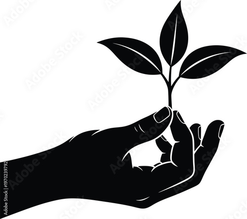 A hand gently cradling a small sprouting plant symbolizing growth and care.