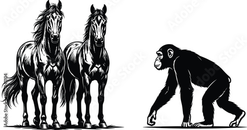 Black and white illustration of two horses standing beside chimpanzee animal wildlife silhouette engraving style detailed vector art graphic design