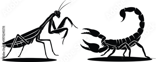 Praying Mantis vs Scorpion Silhouette Illustration, Predator Combat Battle Concept, Insect and Arachnid Wildlife Nature Stencil Design on White Background