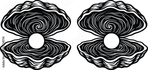 Vintage woodcut style illustration of open oyster shells with pearls, hand drawn black and white seashell vector for nautical design